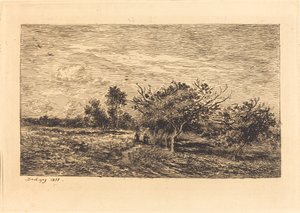 Pommiers à Auvers