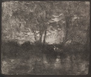 Vaches à un abreuvoir