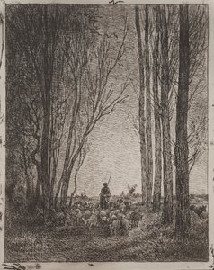 Rassemblement du troupeau