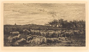 Le Grand parc à moutons - Charles Francois Daubigny