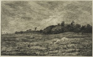 Le Pré des Graves à Villerville (Calvados)