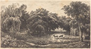 La mare aux cerfs - Charles Francois Daubigny