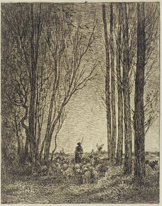 Retour du troupeau