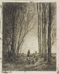 Retour du troupeau
