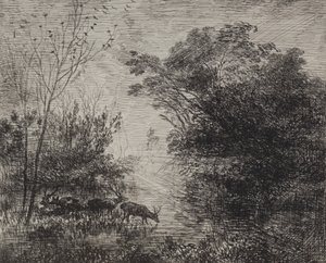 Cerfs - Charles Francois Daubigny