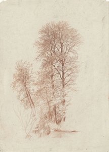 Étude de deux arbres élancés et de quelques plus petits arbres en feuilles - Charles Francois Daubigny