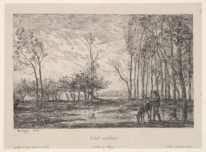Coucher de Soleil