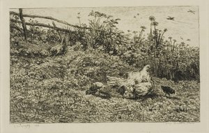 La Poule et ses poussins
