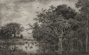 Le Marais avec des cigognes - Charles Francois Daubigny