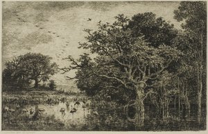 Le Marais avec des cigognes