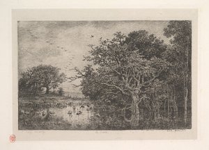 Les Marais, 1851