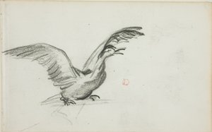 Duo sauvage (recto) ; deux figures féminines nues debout dans des niches (verso)