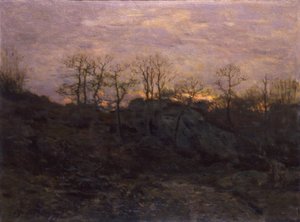 Lisière de la forêt, crépuscule