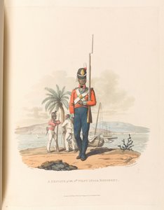 Un soldat du 5e Régiment des Antilles