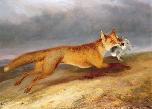 Renard s
