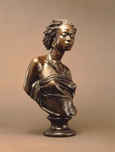 Vénus africaine, 1851