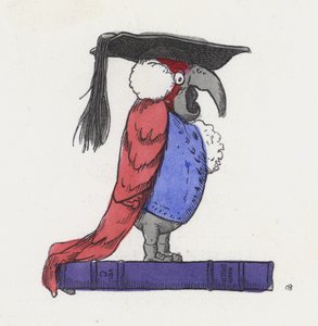 Un perroquet très intelligent