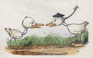 Deux oiseaux se faisant face