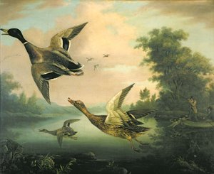 Chasse au canard - Charles Henry Schwanfelder