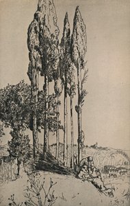 Cyprès près de Sienne, 1903 - Charles Holroyd