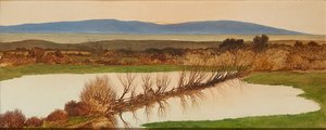 Coucher de soleil sur un étang - Charles Hutton Lear