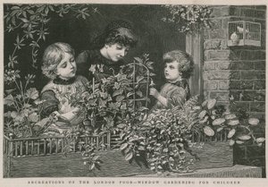 Récréations des pauvres de Londres : Jardinage de fenêtre pour enfants