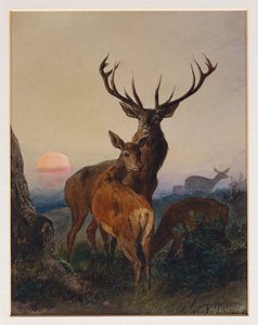 Un cerf avec des biches dans un paysage boisé au coucher du soleil, 1865