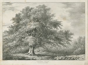 Lichfield - Saule de Dr. Johnson - Charles Joseph Hullmandel