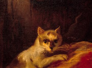 Mademoiselle de Charolais (détail représentant le chat)