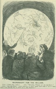 Microscopie pour les millions : 1878 (gravure) - Charles Keene