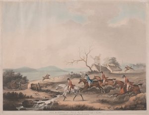 Chasse au renard