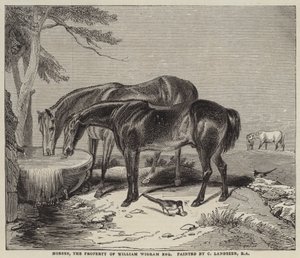 Chevaux, propriété de William Wigram, Esquire - Charles Landseer