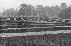 Partie du labyrinthe (presque la moitié)