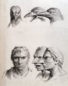 Profils d