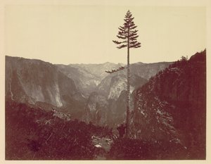 Vallée de Yosemite depuis le sentier de Mariposa, vers 1865 - Charles Leander Weed