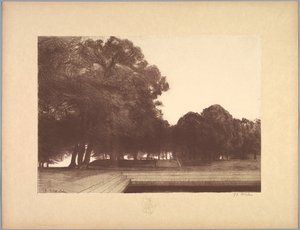Suite de Paysages: Paysage, Planche 7, Remarque, Coquelicots