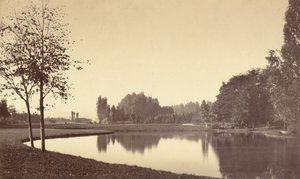 Bois de Boulogne,1858 (photo) - Charles Marville