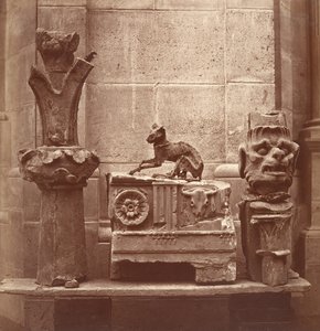 Le Chat Momifié trouvé dans les fouilles de Saint-Germain-en-Laye, vers 1862
