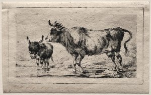Vache et âne - Charles Meryon