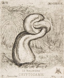 La chétive Cryptogamie - Charles Meryon