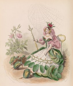 Les Fleurs Animées - Charles Michel Geoffroy