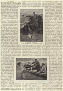 Pêche en mer