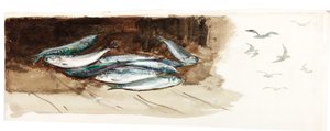 Étude de poissons