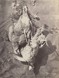 Nature Morte avec Gibier, 1859 - Charles Nègre