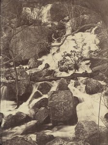 [Arbres et cascades], 1860-65