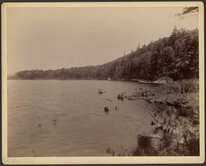 Lac Saco - Charles P. Hibbard