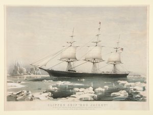 Clipper