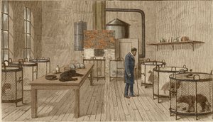 Chiens en cages dans le laboratoire de Louis Pasteur - Charles Paul Renouard
