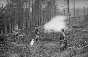 Dans les fourrés, vers 1902, 1903 - Charles Reid