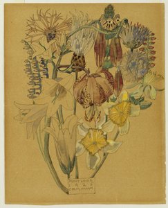 Mont Louis - Étude de fleurs, 1925